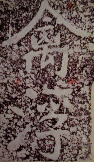 yi he ming 1.jpg (785846 bytes)