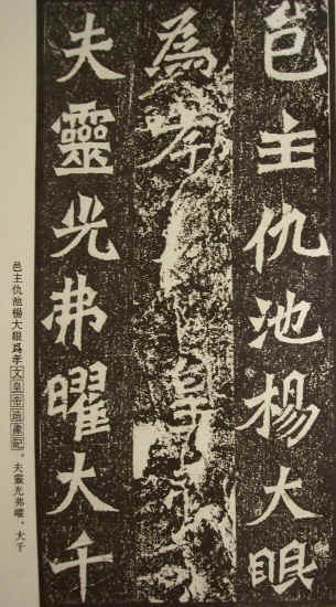 yi zi 2.jpg (961730 bytes)
