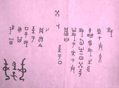 Zuan_TurtleBone2002.jpg (602607 bytes)