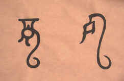 Zuan_DoubleDragons.jpg (326999 bytes)